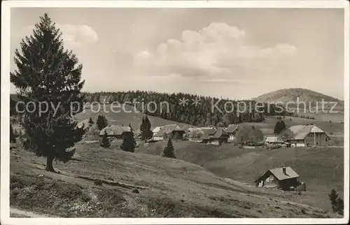 Bernau Schwarzwald Panorama Kat. Bernau im Schwarzwald