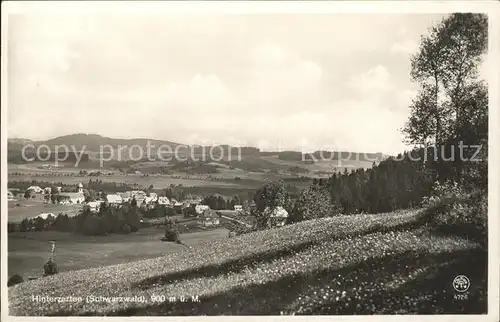 Hinterzarten Panorama Kat. Hinterzarten