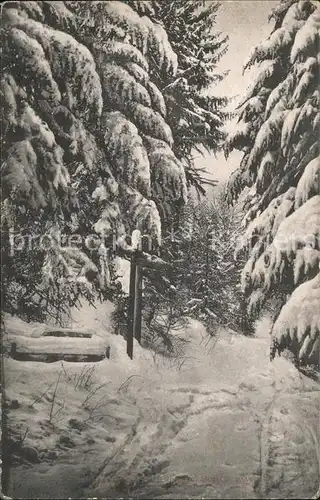 St Blasien Wald im Schnee Kat. St. Blasien