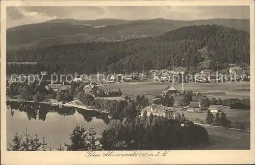 Titisee Panorama am See Kat. Titisee Neustadt