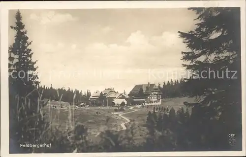 Feldberg Schwarzwald Feldbergerhof Kat. Feldberg (Schwarzwald)