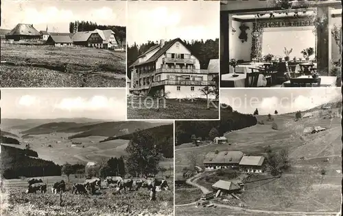 Schwaerzenbach Titisee-Neustadt Pension Haus Feldbergblick / Titisee-Neustadt /Breisgau-Hochschwarzwald LKR