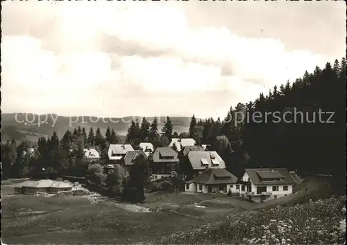 Hinterzarten Panorama Kat. Hinterzarten