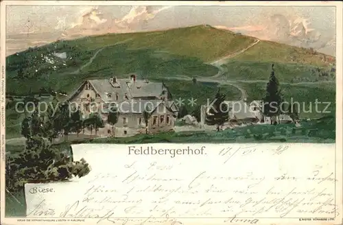 Feldberg Schwarzwald Feldbergerhof Kuenstlerkarte Kat. Feldberg (Schwarzwald)