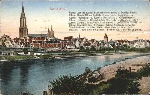 Ulm Donau Donau Panorama mit Muenster Kat. Ulm