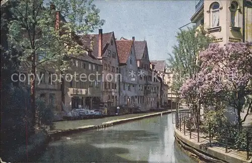 Ulm Donau Partie an der Blau Kat. Ulm