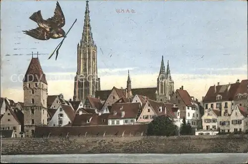 Ulm Donau Panorama mit Spatz Kat. Ulm
