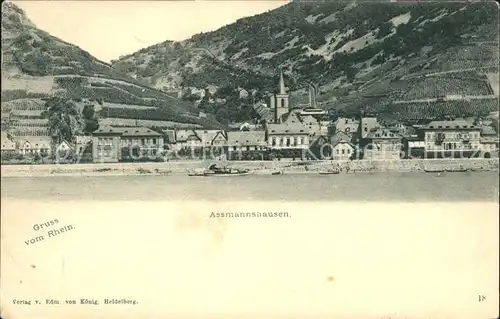 Assmannshausen Panorama am Rhein / Ruedesheim am Rhein /