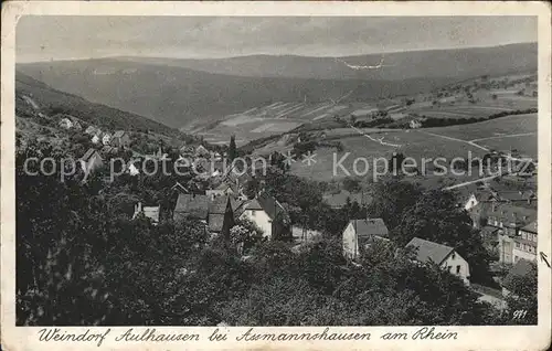 Aulhausen Panorama Kat. Ruedesheim am Rhein
