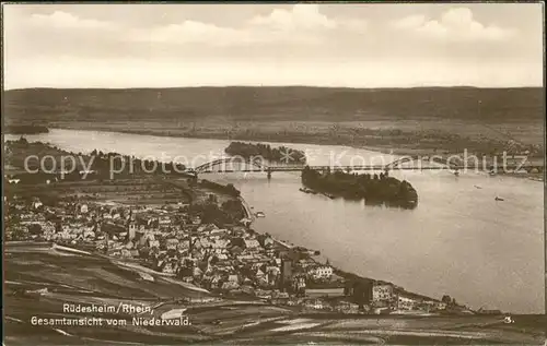 Ruedesheim Panorama am Rhein Kat. Ruedesheim am Rhein