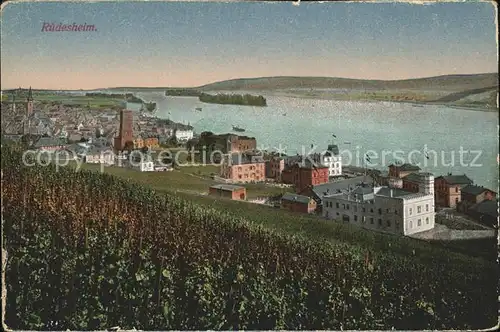 Ruedesheim Panorama am Rhein Kat. Ruedesheim am Rhein