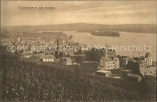 Ruedesheim Panorama am Rhein Kat. Ruedesheim am Rhein
