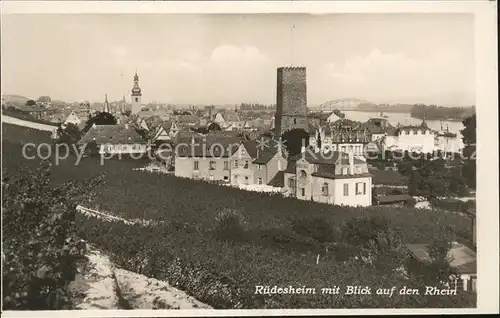 Ruedesheim Panorama am Rhein Kat. Ruedesheim am Rhein