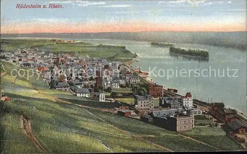 Ruedesheim Panorama am Rhein Kuenstlerkarte Kat. Ruedesheim am Rhein