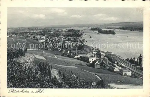 Ruedesheim Panorama am Rhein Kat. Ruedesheim am Rhein