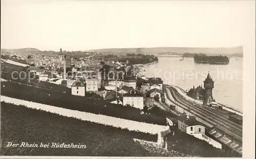 Ruedesheim Rheinpanorama Kat. Ruedesheim am Rhein