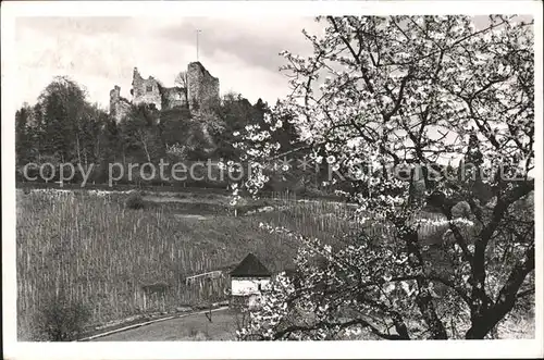 Badenweiler Schlossruine Kat. Badenweiler