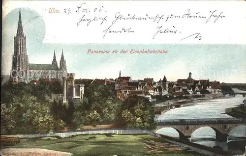 Ulm Donau Panorama an der Eisenbahnbruecke Muenster Kat. Ulm