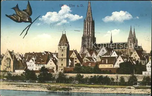 Ulm Donau Panorama mit Muenster Spatz Kat. Ulm