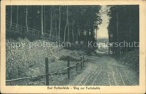 Bad Rothenfelde Weg zur Fuchskuhle Kat. Bad Rothenfelde