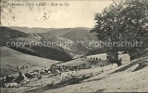 Todtnauberg Panorama Kat. Todtnau