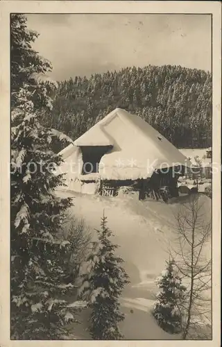 Todtmoos Felsenhaus im Schnee Kat. Todtmoos