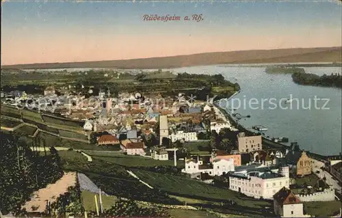 Ruedesheim Rhein Panorama Kat. Ruedesheim am Rhein