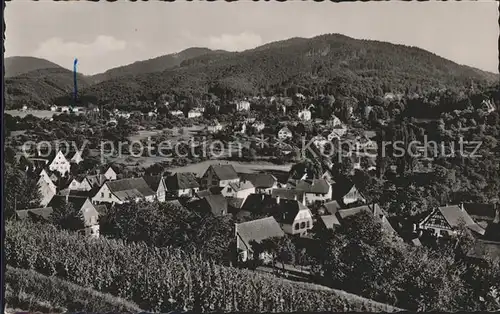 Badenweiler Panorama Kat. Badenweiler