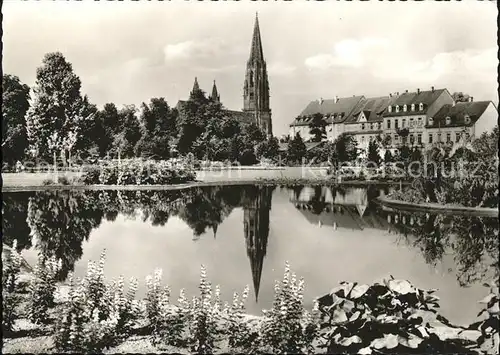 Freiburg Breisgau Stadtgarten Muenster Kat. Freiburg im Breisgau