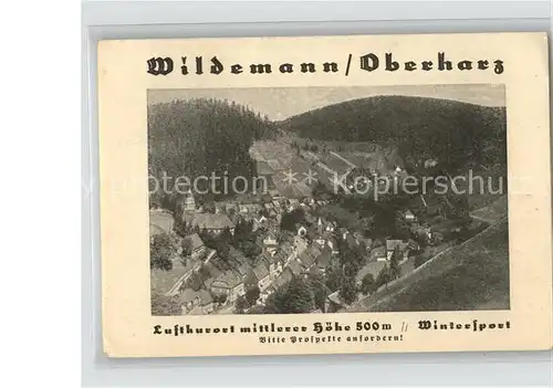 Wildemann Total Aufklappkarte Kat. Wildemann Harz