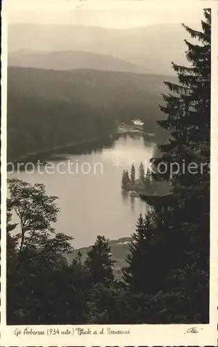 Ruhmannsfelden Gr Arberse Blick zur Seewand Kat. Ruhmannsfelden