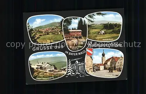 Ruhmannsfelden Panorama Osterbruennl Arber Schutzhuette Marktplatz Kat. Ruhmannsfelden