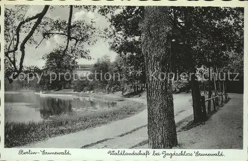 Grunewald Berlin Waldlandschaft bei Jagdschloss Grunewald Kat. Berlin