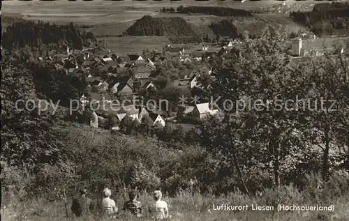 Liesen Panorama Kat. Hallenberg