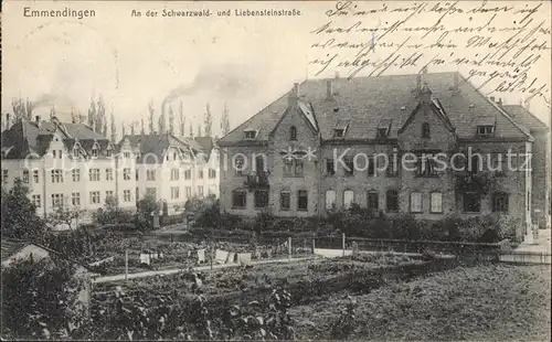 Emmendingen Schwarzwald  und Liebensteinstrasse Haeuser Kat. Emmendingen