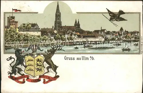 Ulm Donau Panorama Donau Muenster Wappen Spatz Kat. Ulm