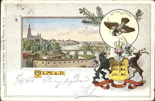 Ulm Donau Panorama Spatz Wappen Kat. Ulm