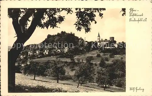 Lindenfels Odenwald Panorama / Lindenfels /Bergstrasse LKR