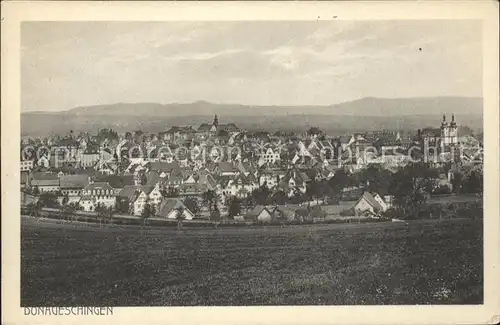 Donaueschingen Panorama Kat. Donaueschingen