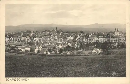 Donaueschingen Panorama Kat. Donaueschingen