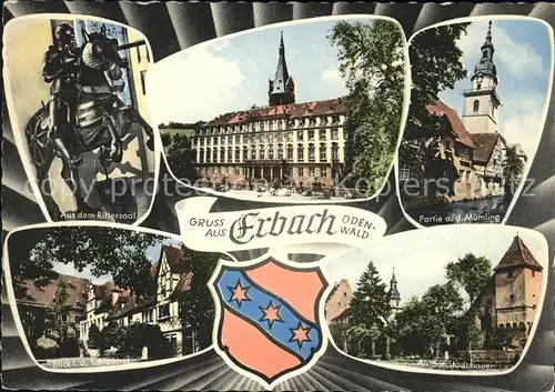 Erbach Odenwald Muemling Rittersaal Schlosshof Wappen / Erbach /Odenwaldkreis LKR