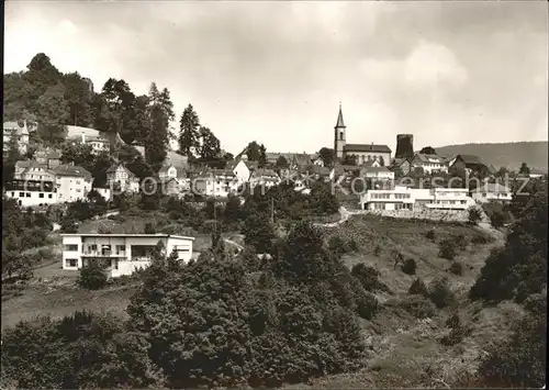 Lindenfels Odenwald Panorama / Lindenfels /Bergstrasse LKR