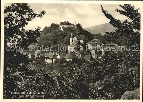 Lindenfels Odenwald Panorama / Lindenfels /Bergstrasse LKR