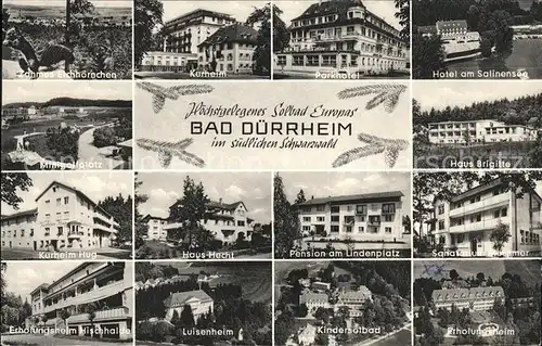 Bad Duerrheim Solbad Hotel Kurheim Sanatorium Pension Erholungsheim Salinensee Eichhoernchen Kat. Bad Duerrheim