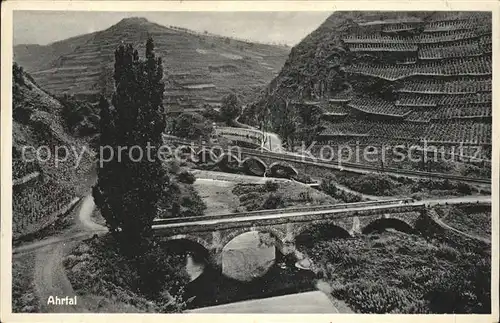 Altenahr Partie im Ahrtal Viadukt Bruecke Weinberg Kat. Altenahr