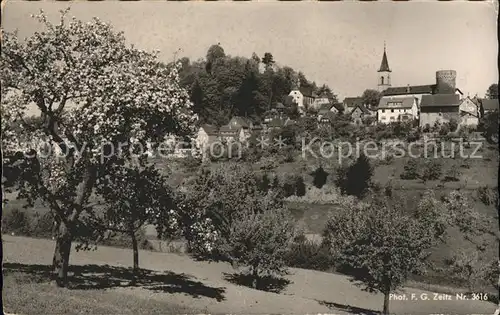 Lindenfels Odenwald Ortsansicht mit Kirche und Burg Hoehenluftkurort Perle des Odenwaldes Baumbluete Kat. Lindenfels