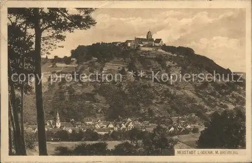 Neustadt Odenwald Ortsansicht mit Burg Breuberg Kat. Breuberg