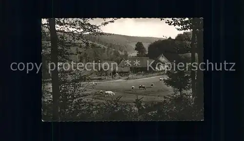 Zell Odenwald Odenwald Idyll Heusselsmuehle Viehweide Kuehe Kat. Bad Koenig