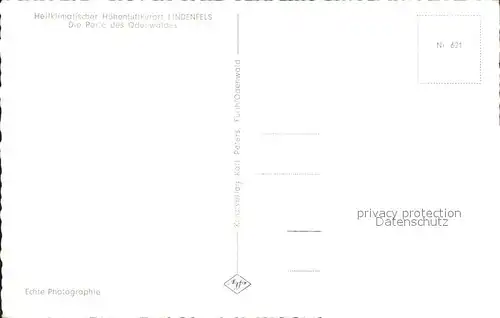 Lindenfels Odenwald Panorama Hoehenluftkurort Perle des Odenwaldes Kat. Lindenfels