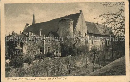 Michelstadt Partie am Kellerei Hof Stadtmauer Kat. Michelstadt